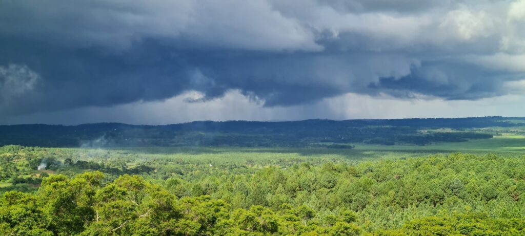 IMG-20250407-WA0014 (1)