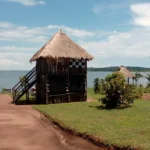 IMG_20240429_225422_399