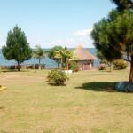 IMG_20240430_144758_434