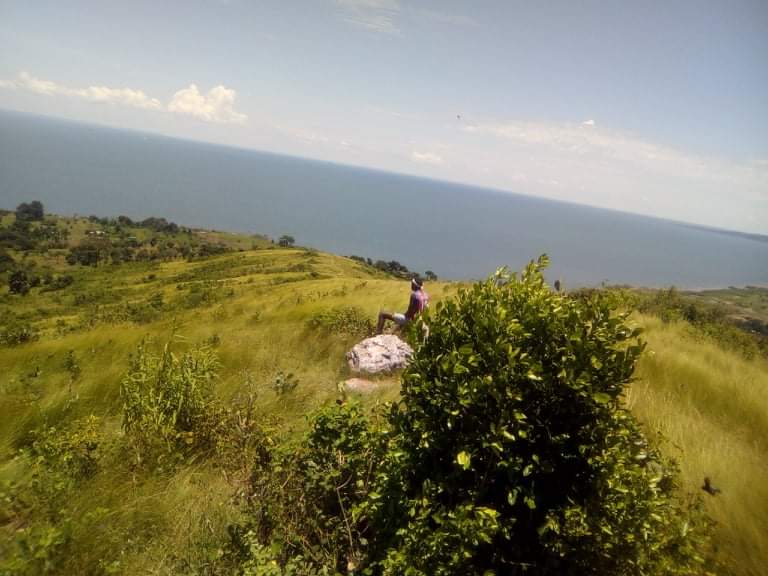 received_393878865289655